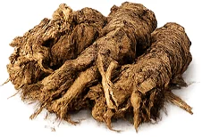 {{OFFER_NAME}} — dong quai (Angelica sinensis)